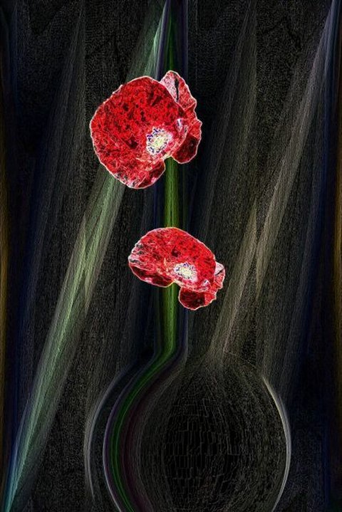 a50.jpg (large)