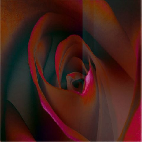 a50.jpg (large)